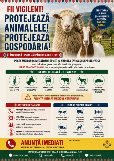 Protejeaza animalele! Pesta micilor rumegatoare (PMR) și Variola ovină și caprină (VOC)